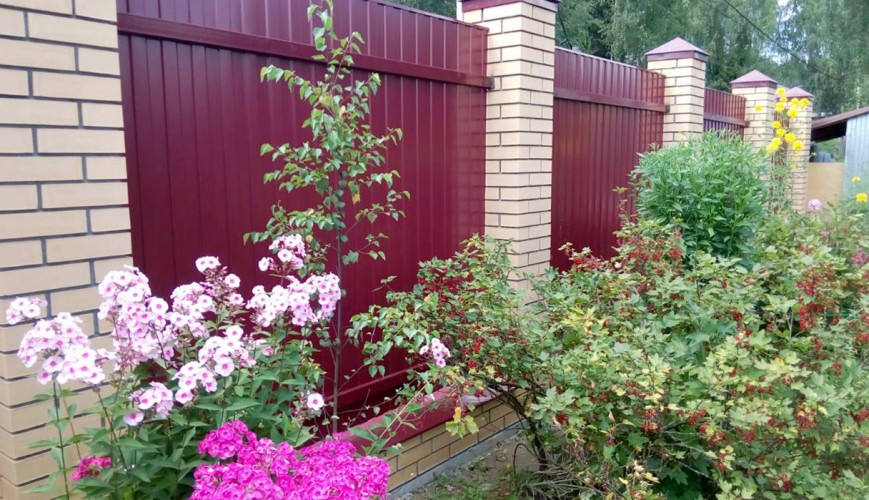 image 0 02 05 8751101921d9b465b2a650730f01c324101227e4b38652df4f45661593b5cde7 V