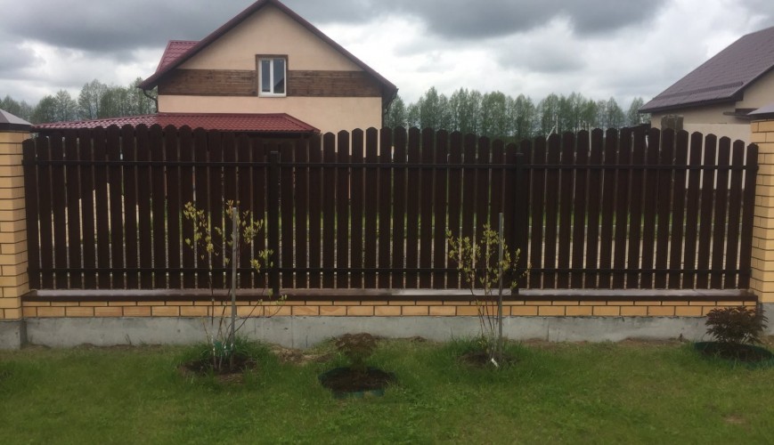 IMG 9ba8afcea18ab2c660f5cc2a869bf924 V