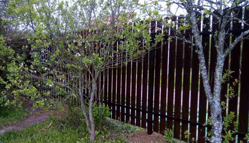 IMG d1f1299674da6adf276ce685e2acd935 V