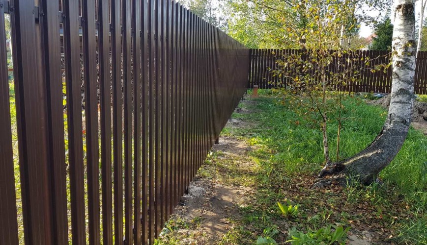 IMG da665c4df7b9008e62206e02ce003701 V