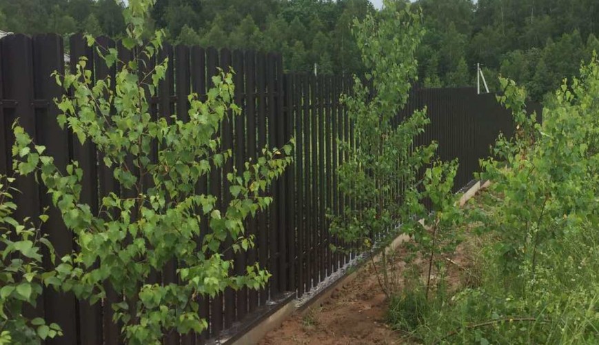 IMG e82fd176c76d1bffdc382823d70756b6 V